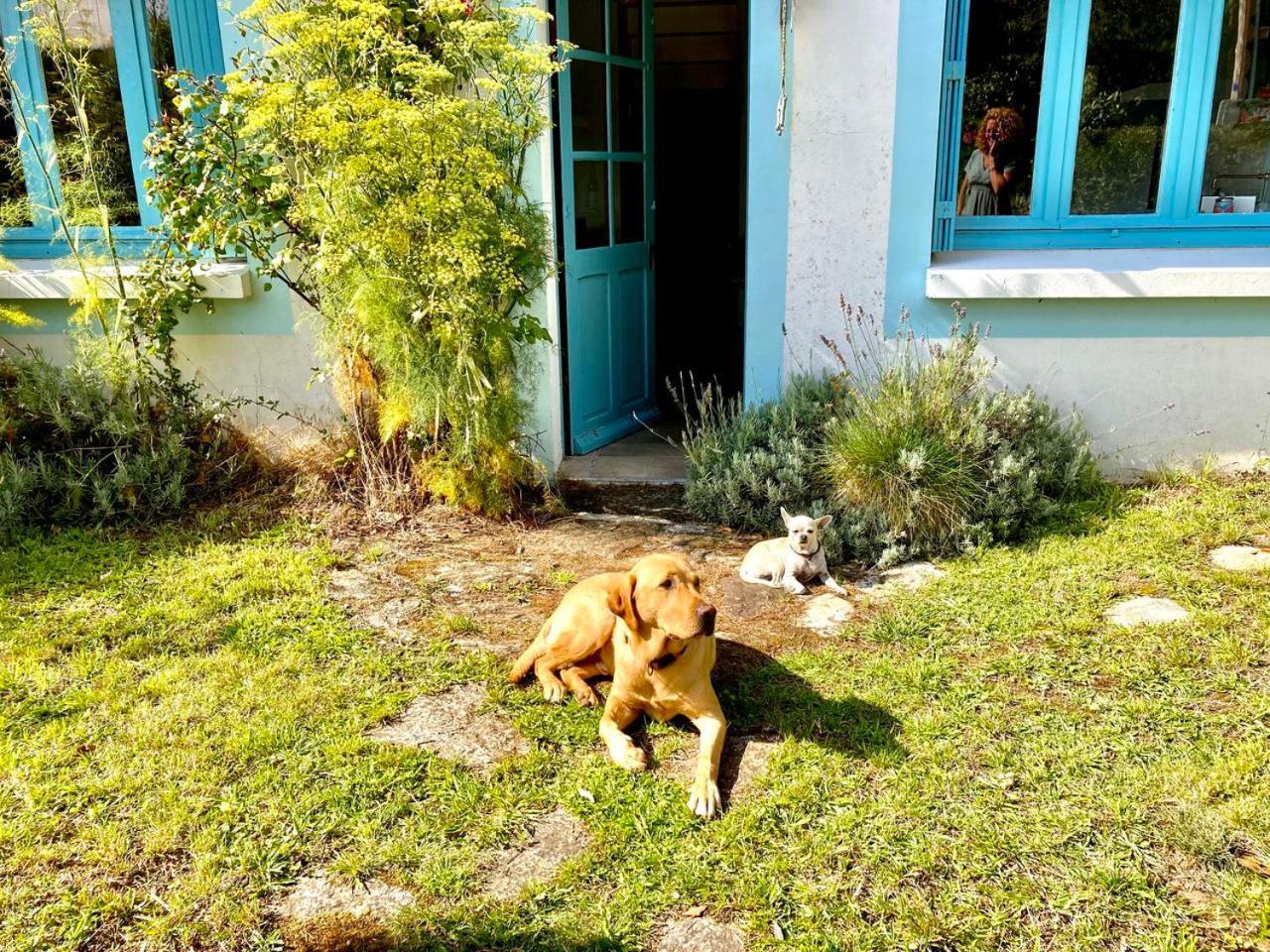 Moëlan-sur-Mer Penty Legona, Authentique Et Chaleureux, 2-6 Persヴィラ エクステリア 写真